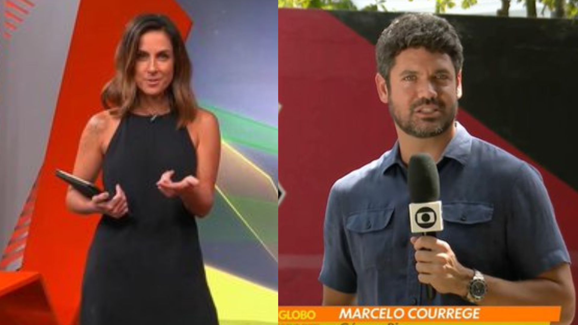 Divulgação 