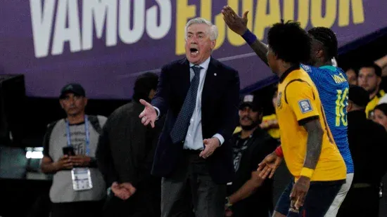 Divulgação 