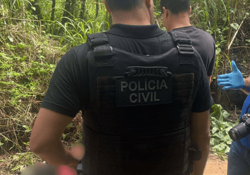 Divulgação 