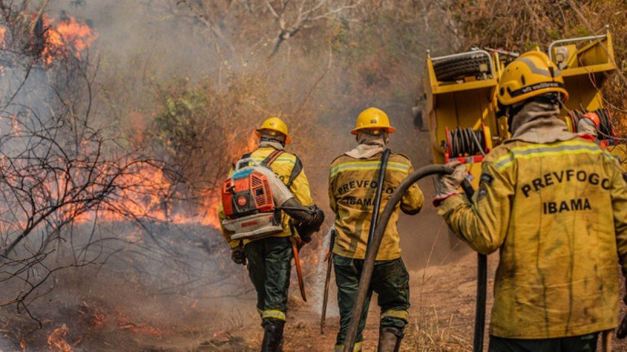 Foto: Augusto Dauster/Ibama