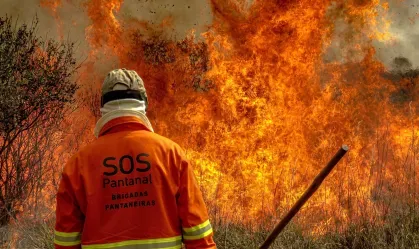 Brigadas de incêndio no Pantanal  • MapBiomas