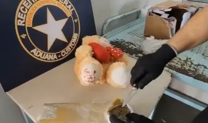Encomenda foi enviada de São Paulo com destino ao município de Icó, no Ceará  • Divulgação/Receita Federal