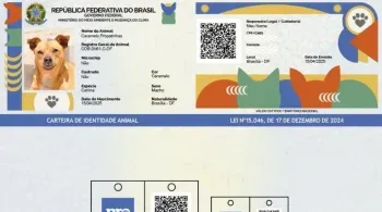 Modelo do RG para os pets no Sinpatinhas • Reprodução/Governo federal