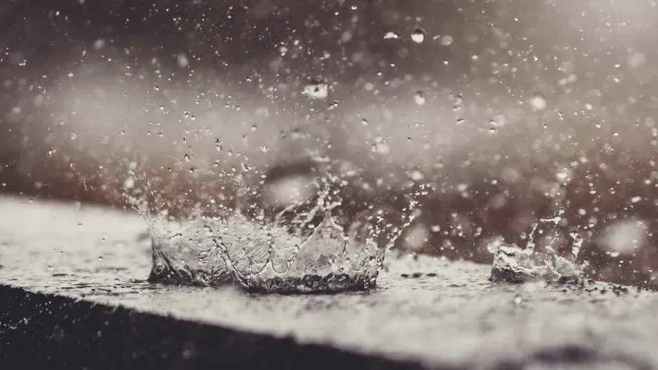 Foto: istock