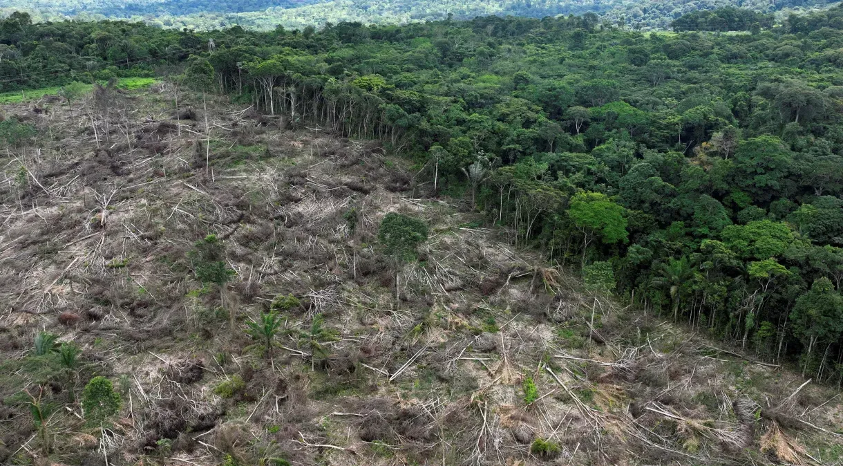 Desmatamento diminui na Amazônia e cresce no Cerrado 21/01/2023REUTERS/Ueslei Marcelino